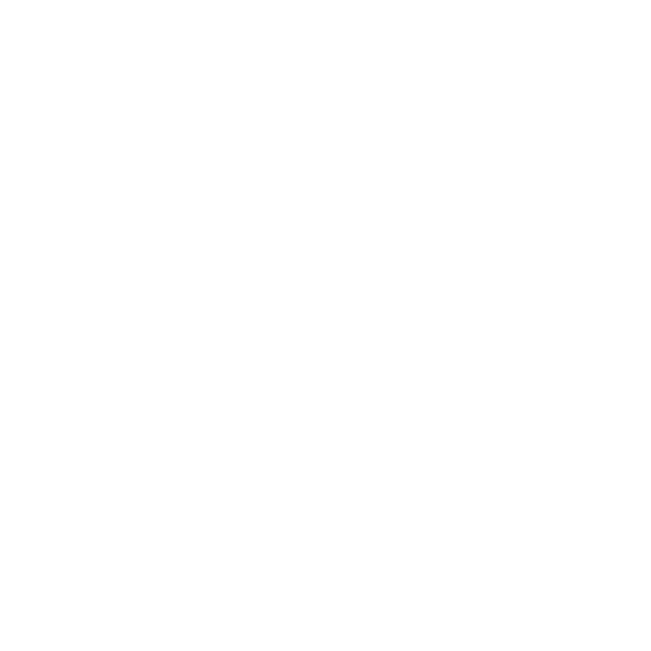 Project Phoenix Logo